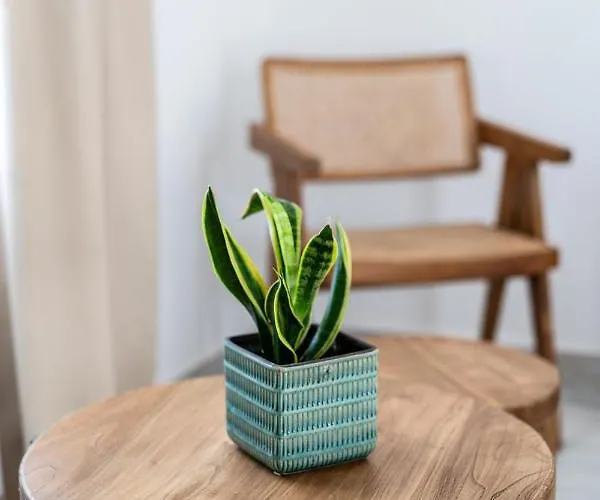 Отель Madalena Mykonos Town