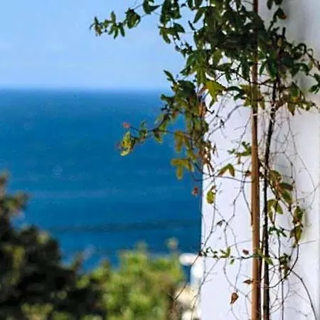 Madalena Hotel
