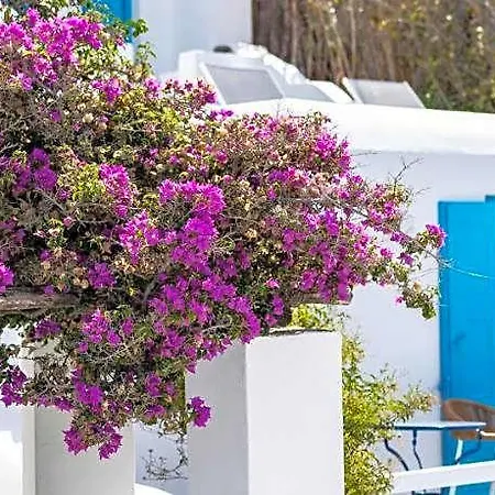 Madalena Hotel